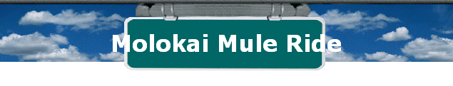 Molokai Mule Ride